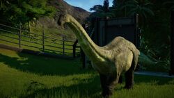 ApatoWIM.jpg (257 KB)