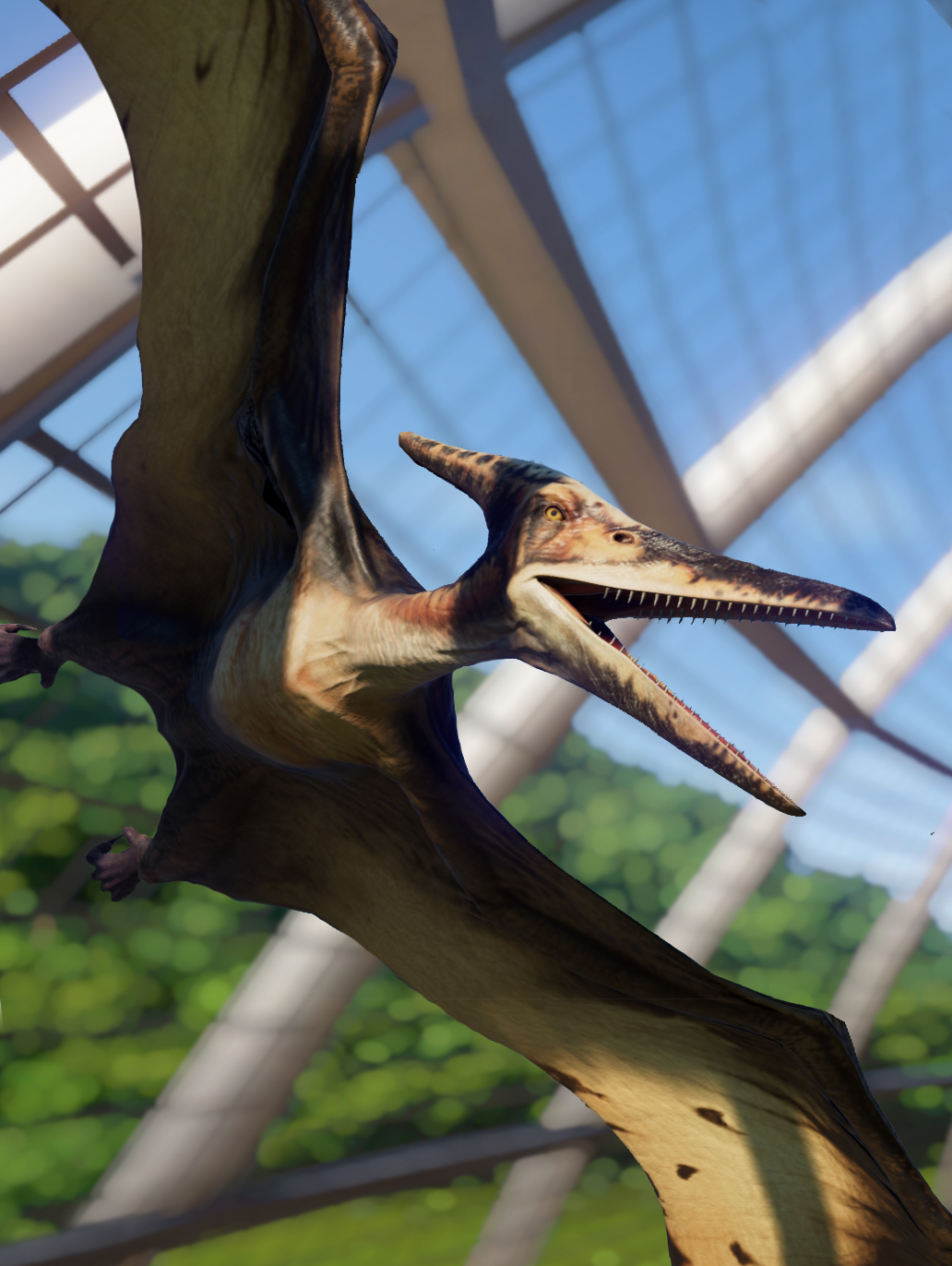 Pterodactyl Vs Pteranodon What Is The Difference?