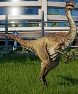 Gallimimus Disponible dans le Centre d'expedition