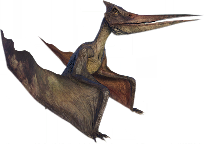 Cearadactylus, Jurassic Park Wiki