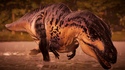 94vhPu6.png (2.41 MB)