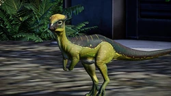 Rky6pdm2j6n31.jpg (874 KB)