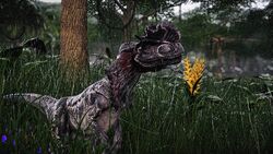 Alle Dilophosaurus jurassic park im Überblick