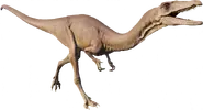 Coelophysis