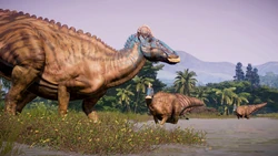 20200605 194120.jpg (2.63 MB)