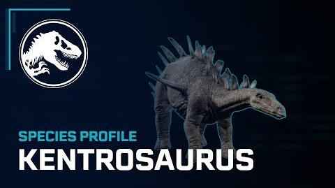 Species Profile - Kentrosaurus