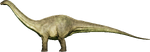 Apatosaurus