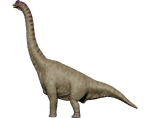 Brachiosaurus (A)