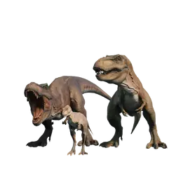 Database (Evolution 3)