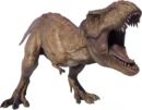 Tyrannosaurus rex