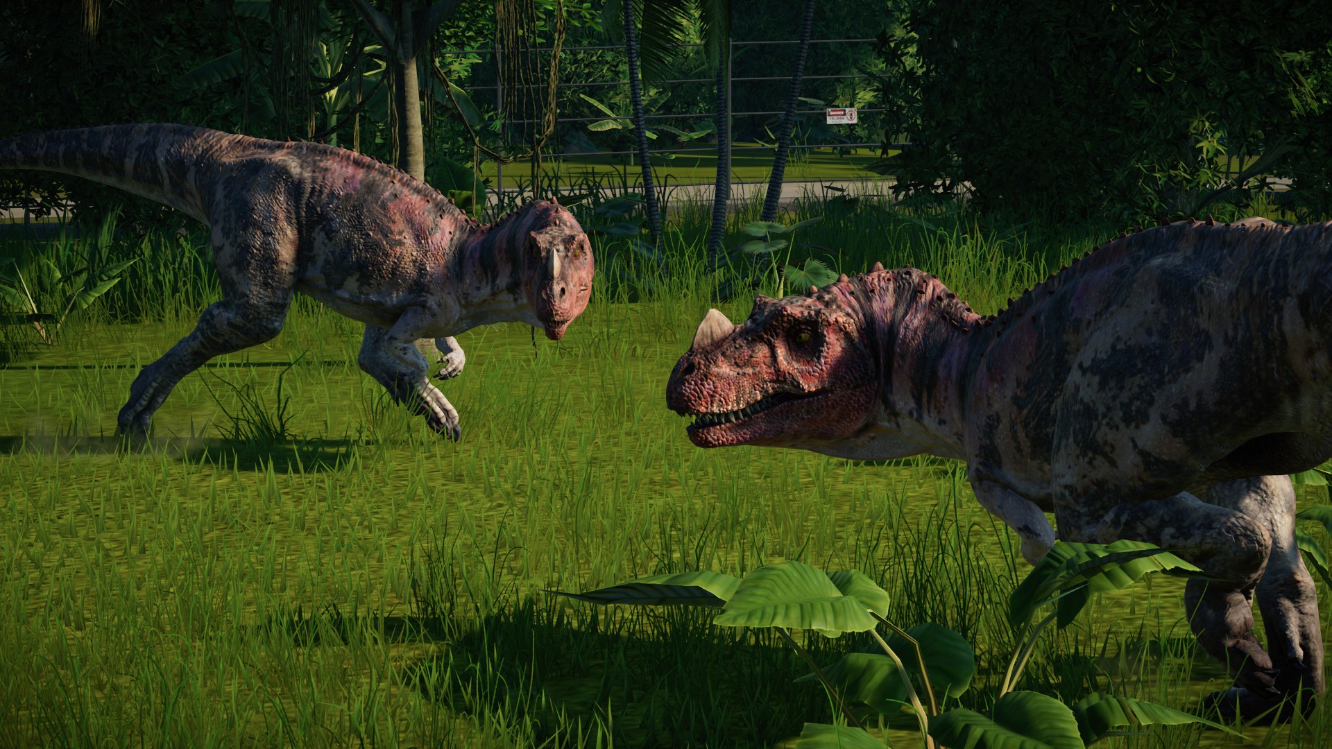 Цератозавр. Цератозавр Jurassic World. Jurassic World Evolution Цератозавр. Цератозавр парк Юрского периода 3. Jurassic World Evolution Ceratosaurus.