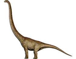 Mamenchisaurus | Jurassic World Evolution Wiki | Fandom