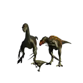 Database (Evolution 3)