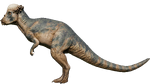 Pachycephalosaurus