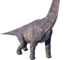 Brachiosaurus