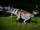 Muttaburrasaurus