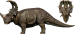 Sinoceratops