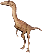 Coelophysis JWE2 Profile