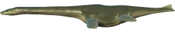 Plesiosaurus Qilian Mountains skin from Evolution 2