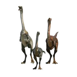 Database (Evolution 3)