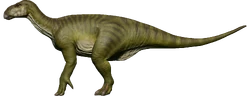 IguanWoodland