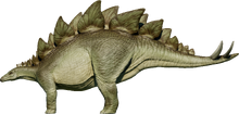 Stegosaurus