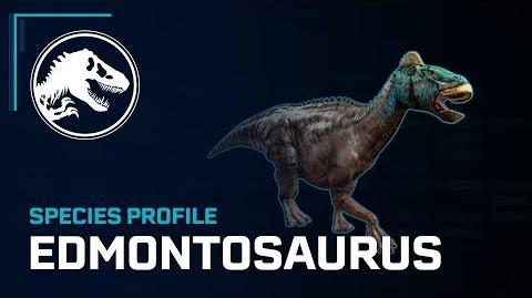 Species Profile - Edmontosaurus