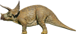 Triceratops (E)