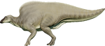 Ouranosaurus