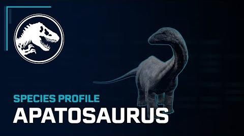 Species Profile - Apatosaurus