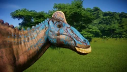 Edmonto4.jpg (503 KB)