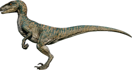 Velociraptor Jurassic World Evolution Wiki Fandom