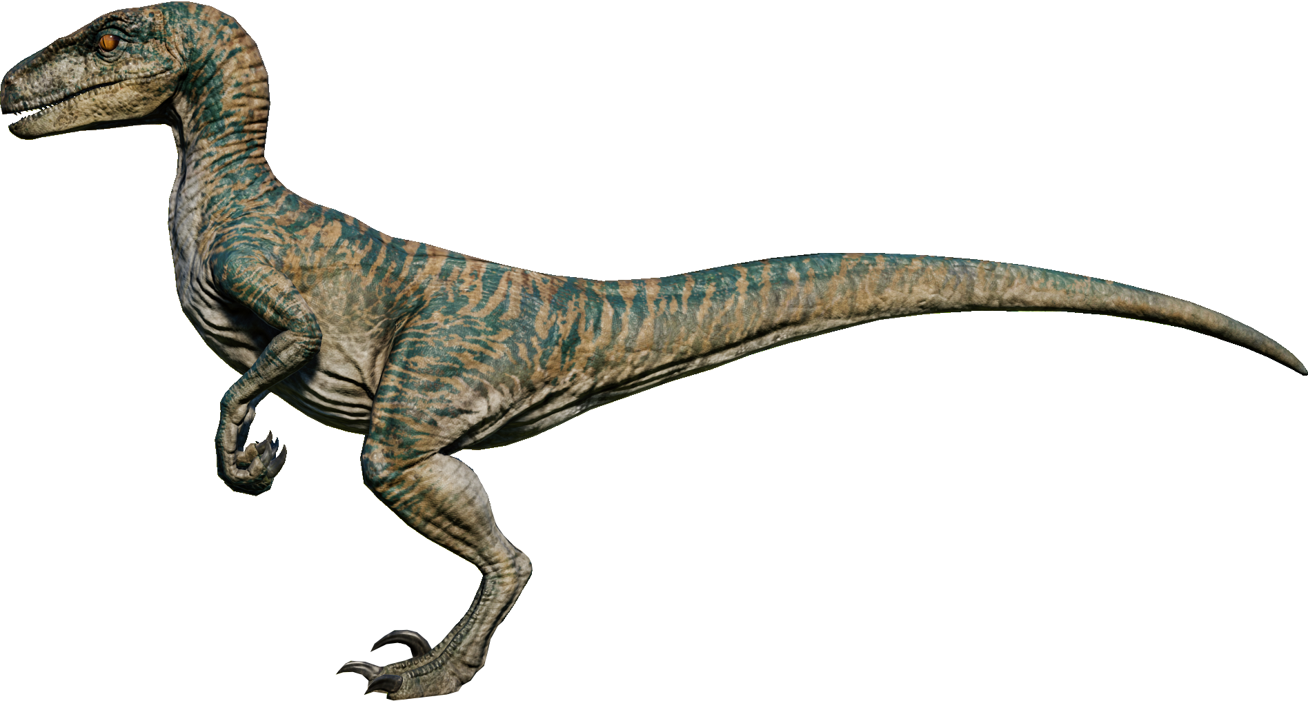 Velociraptor Jurassic World Evolution Wiki Fandom