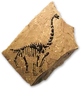 Sauropodfossilicon