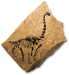 Sauropodfossilicon.png