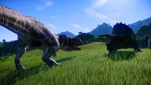 Un Ceratosaurus combattant un .