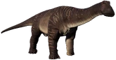 Nigersaurus JWE2 Profile
