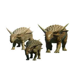 Database (Evolution 3)