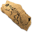 Ankylosaurusfossilicon.png