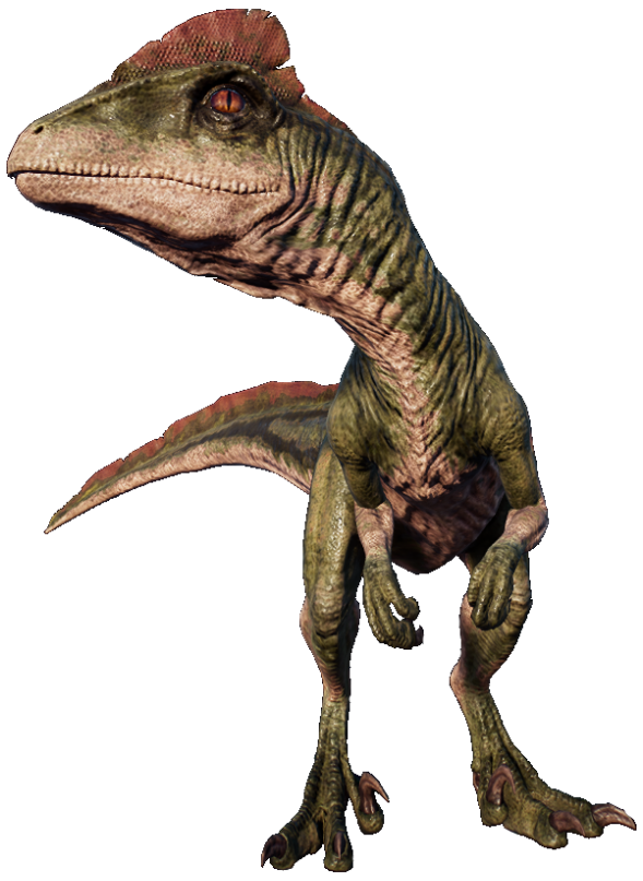 This is my Deinonychus! There are many like him, but this one is