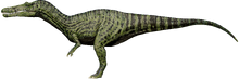 Suchomimus