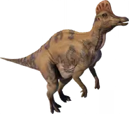 Corythosaurus