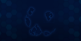 Wiki-background.png