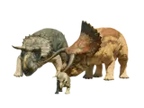 Nasutoceratops