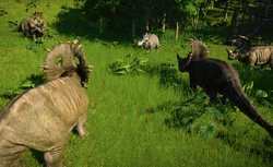 SinoceratopsGroup.png (4.33 MB)