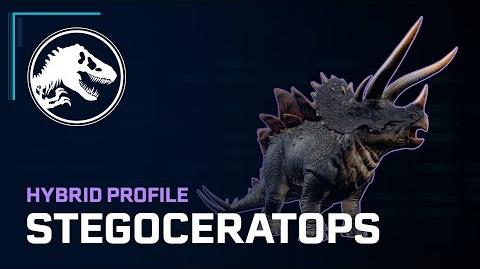 Hybrid Profile - Stegoceratops