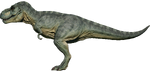 Tyrannosaurus