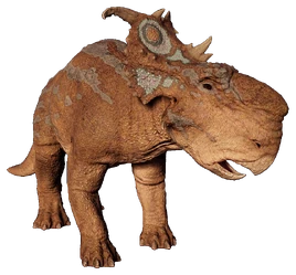 Pachyrhinosaurus JWE2 Profile