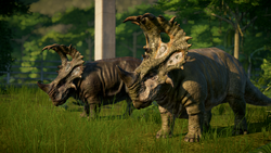 Sinoceratops | Jurassic World Evolution Wiki | Fandom