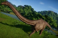 Diplodocus Disponible dans le Centre d'expedition